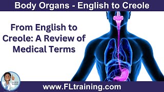 Body Organs Translated from English to Haitian Creole 🧠🫀🦴