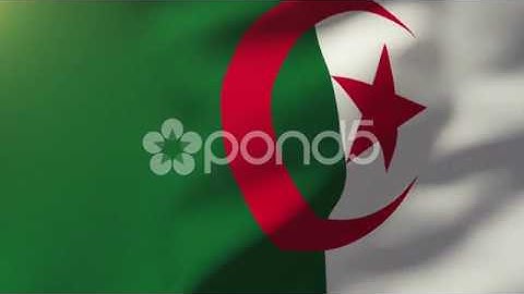 Algeria Flag Waving In The Wind. Looping Sun Rises Style. Animation Loop