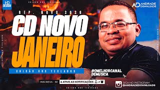 CHICÃO DOS TECLADOS  - JANEIRO 2026 | ( MÚSICAS NOVAS ) - @AndradeDownloads