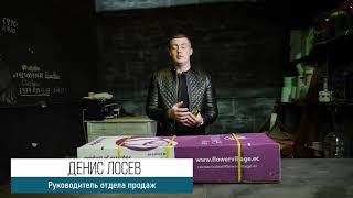 GFG | ЦВЕТЫ ОПТОМ. Роза, сорт Vino Bianco, 50 см • Flower Village • Эквадор