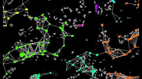 NetTracer3D Tutorial Part 4—Proximity Networks and Cellular Data
