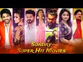 Sunday movies  pogaru  apthamitra  beast  sarrainodu  udaya tv  vishnudada  dhruva sarja 