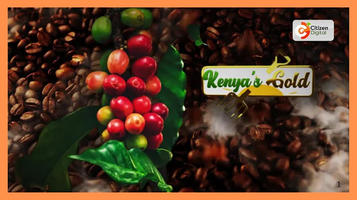 Kenya's Gold chat | Coffee farming in Kenya |