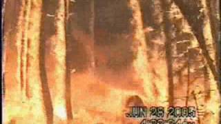 Using sprinklers and gel for structure protection from wildfire: Video # 3