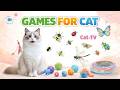 CAT GAMES 🐾 3D Cat TV Storm – Triple Prey • Ant Swarm • Mouse Hunt! 😺 | 6 Hours 4K60FPS