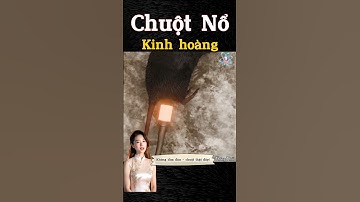 Chuột Nổ – Vũ Khí Bí Mật Khiến Phát Xít Khiếp Sợ!