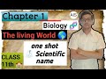 Chapter 1 The living World class 11th important video biology