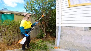 A Special Gift For My Kindest Regular Client