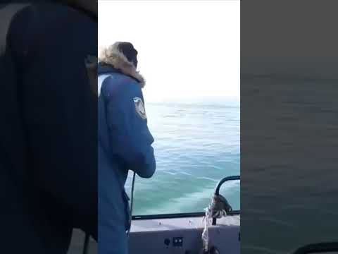 ⚡️Свыше 71 тыс. тонн загрязненного мазутом грунта собрано с побережья Кубани, — МЧС РФ.
