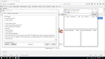 Live HTTP Headers & Tamper Data Addons