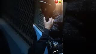 Dont Touch An Angry Girl Boyfriend Otherwise