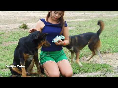 Dariya Playing With Her Lovely German Shepherd Dogs