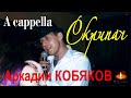 A cappella/ Аркадий Кобяков - Скрипач/ Н.Новгород, 15.03.2014