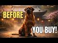 Tosa Inu Reality Check: Don’t Buy This Dog Until You Watch This!