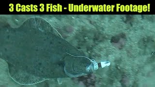 3 Casts 3 Fish - Underwater Footage! Alaskan Halibut Fishing - Juneau, Alaska! JULY 2021