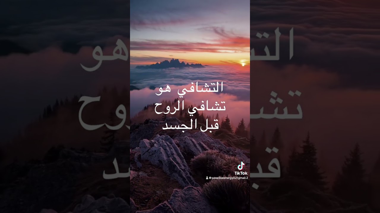 14 يناير، 2026