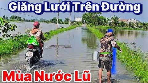 Độc Lạ Giăng Lưới Trên Đường Nhựa " Mùa Nước Lũ Sông Vàm Cỏ Đông Tây Ninh