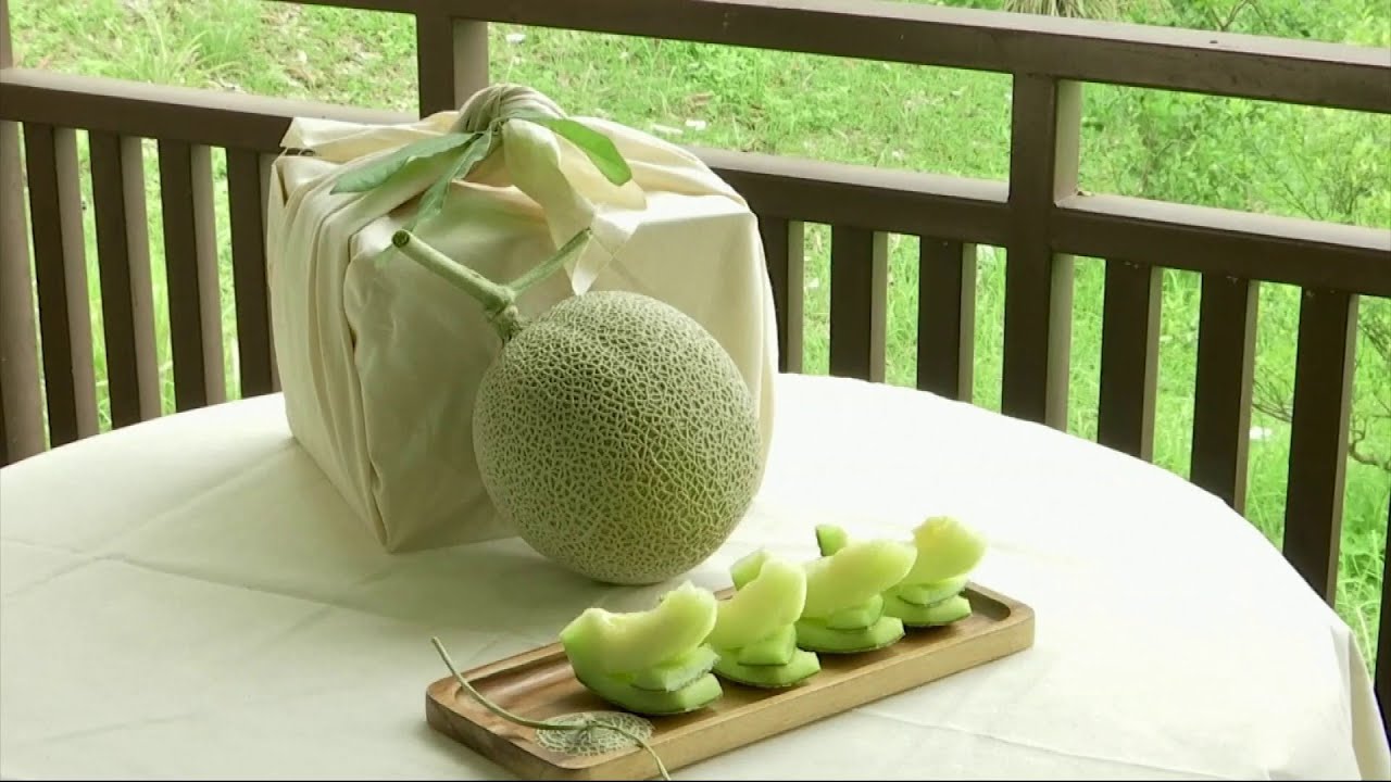 خربزه دویست دلاری