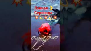 лунная серенада 🌹💥