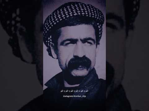 کوردەواری ئەی وڵاتە جوانەکەم ناسر ڕەزازی ناصر رزازی