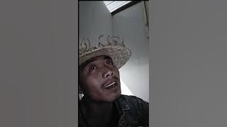 tanoh gayo#cover #musik #storywa