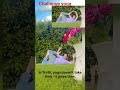 yogalifestyle challenge #shortviral