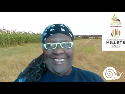 Slow Food Live presents: Holler for collards in the kitchen