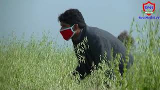 Batair Ka Shikar Batair Hunting Quail Voice 2020