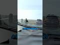 Woman Drives Onto Airport Runway 🚔 #shorts #police