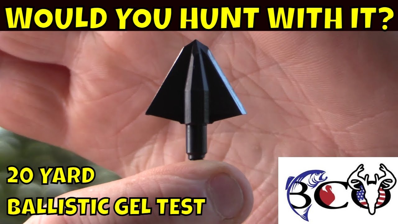 testing the new tooth of the arrow single bevel in ballistic gel bco