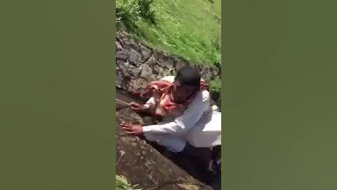 أجمل ما قيل في الشعر العربي الفصيح لا تنشديني يا عيوني عن النوم 