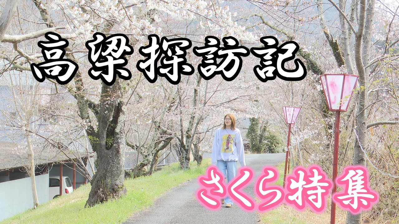 高梁探訪記～さくら特集～