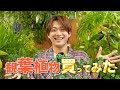 福本大晴【観葉植物】買ってみた!