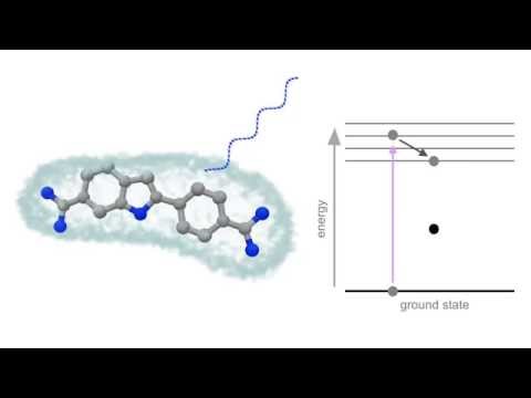 Video: Kaip fluorescuoja molekulės?