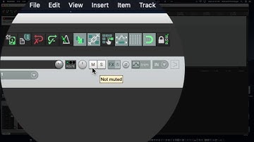 3  Adding an Audio Track In Reaper