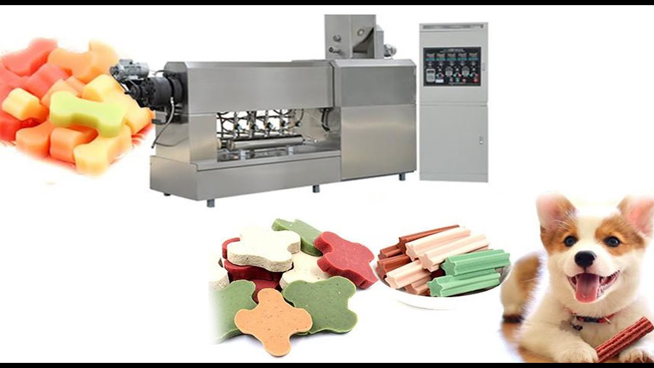 Dog Treat Biscuit Making Machine  Making machine, Dog treats, Food  manufacturing