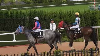 【メイショウカゲカツ】 三浦皇成騎手 京都9Ｒ 六波羅特別 4歳以上2勝クラス 2024.4.28