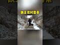 我的家乡下雪了，陕北农村雪景美极了！