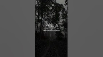 تلاوة خاشعة من القارئ فارس عباد 🌱 #المصحف #راحة_نفسية