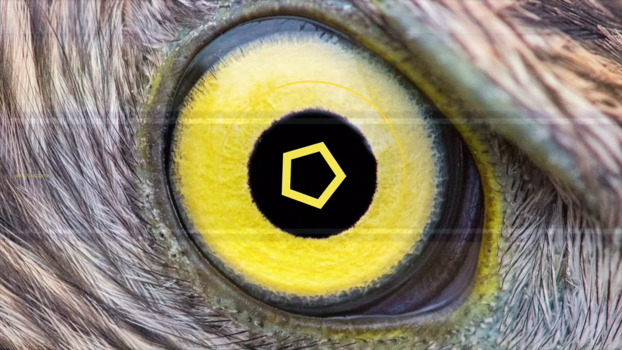 FREE Drake ft. Rick Ross type beat Dead Money prod blanc YouTube