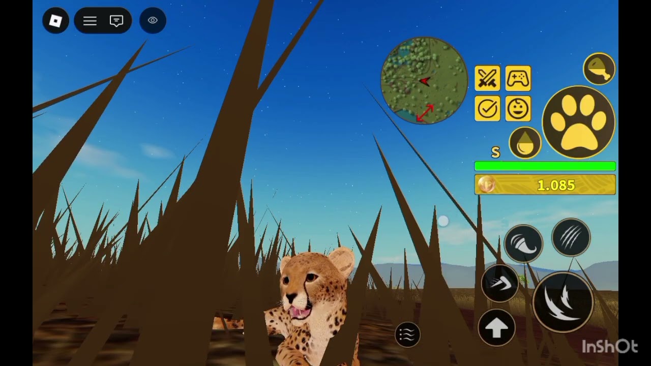 Me mate solo a una persona por mi lag