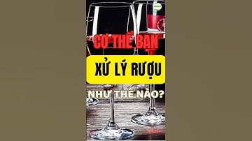 Cơ Thể Xử Lý Rượu Như Thế Nào? Bí Mật Đằng Sau Mỗi Cốc Rượu!