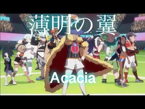 MAD 薄明の翼 Acacia