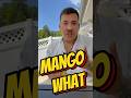 Mixing Mangos with WHAT gross or good #share #diy #bartender #drink #reels #shorts #youtubeshorts