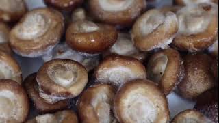 frozen shiitake mushroom Can I Freeze Shiitake Mushrooms
