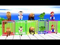 Long Slide Game with Cow Elephant Gorilla Hippopotamus Tiger 3d Animal Game Funny 3d Animals