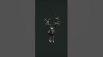 Super rare and great one in the same week #remix #rap #cotw #hunting #gaming