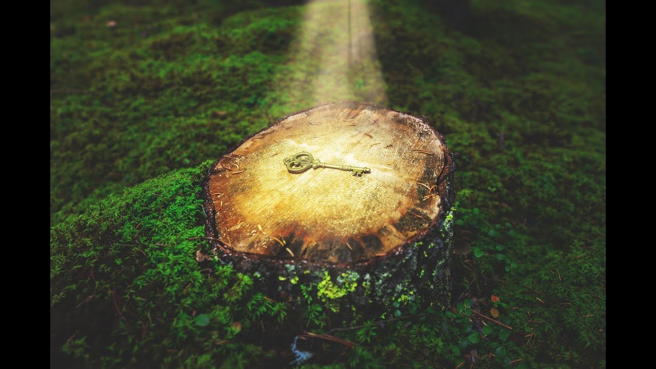 Eine ent-täuschende Entdeckung