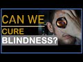 Can We Cure Blindness?