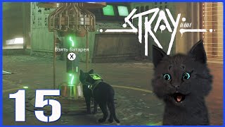 Супер Кот ПОКАЖЕТ ГДЕ НАЙТИ АТОМНУЮ БАТАРЕЙКУ часть 15 🐱 Stray приключения кота в городе роботов